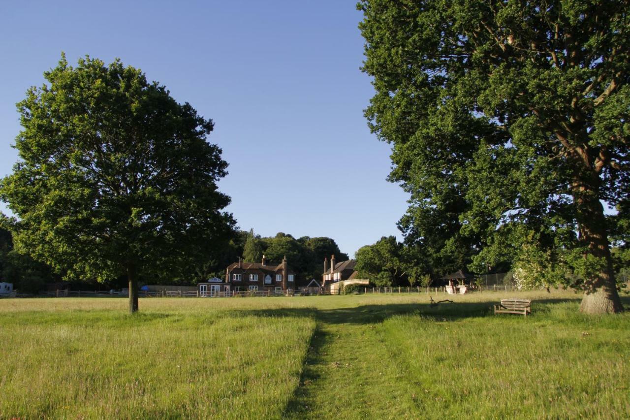 Bewl Rookery B&B Wadhurst Exterior foto